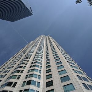 Meet your Posher, Bridget